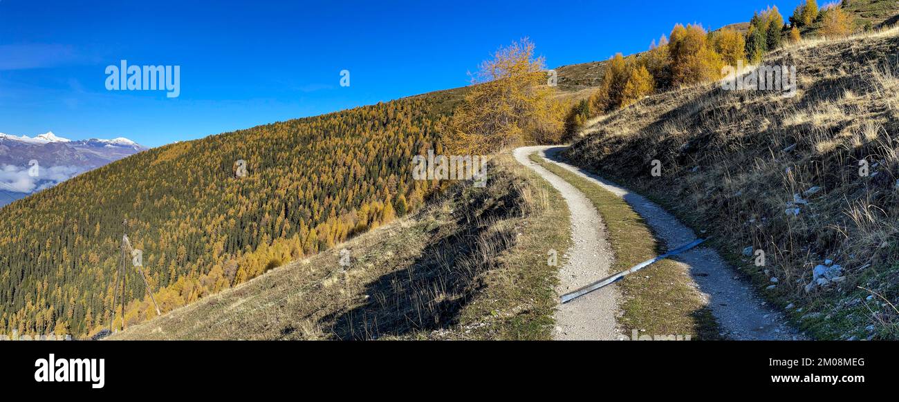 Road to the Alpage de Mase, colourful autumn forests, Mase, Valais