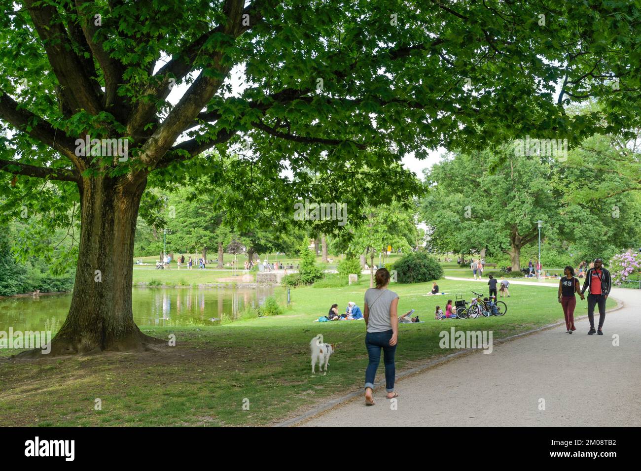 Menschen, Freizeit, Herrngarten, Darmstadt, Hessen, Deutschland Stock Photo