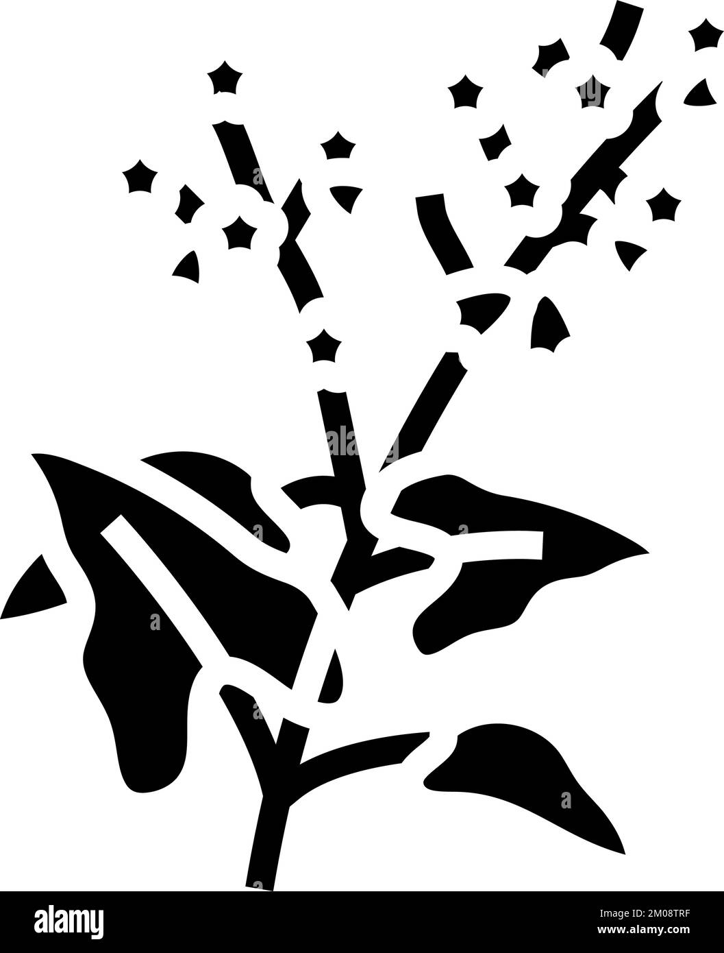 buckwheat plant healthy glyph icon vector illustration Stock Vector