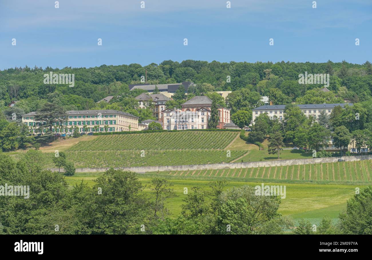 Vitos Klinik Eichberg, Eltville, Hessen, Deutschland Stock Photo Alamy