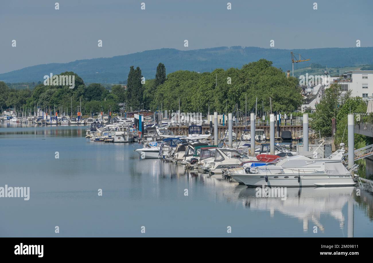 Marina, Boote, Hafen, Schierstein, Wiesbaden, Hessen, Deutschland Stock ...