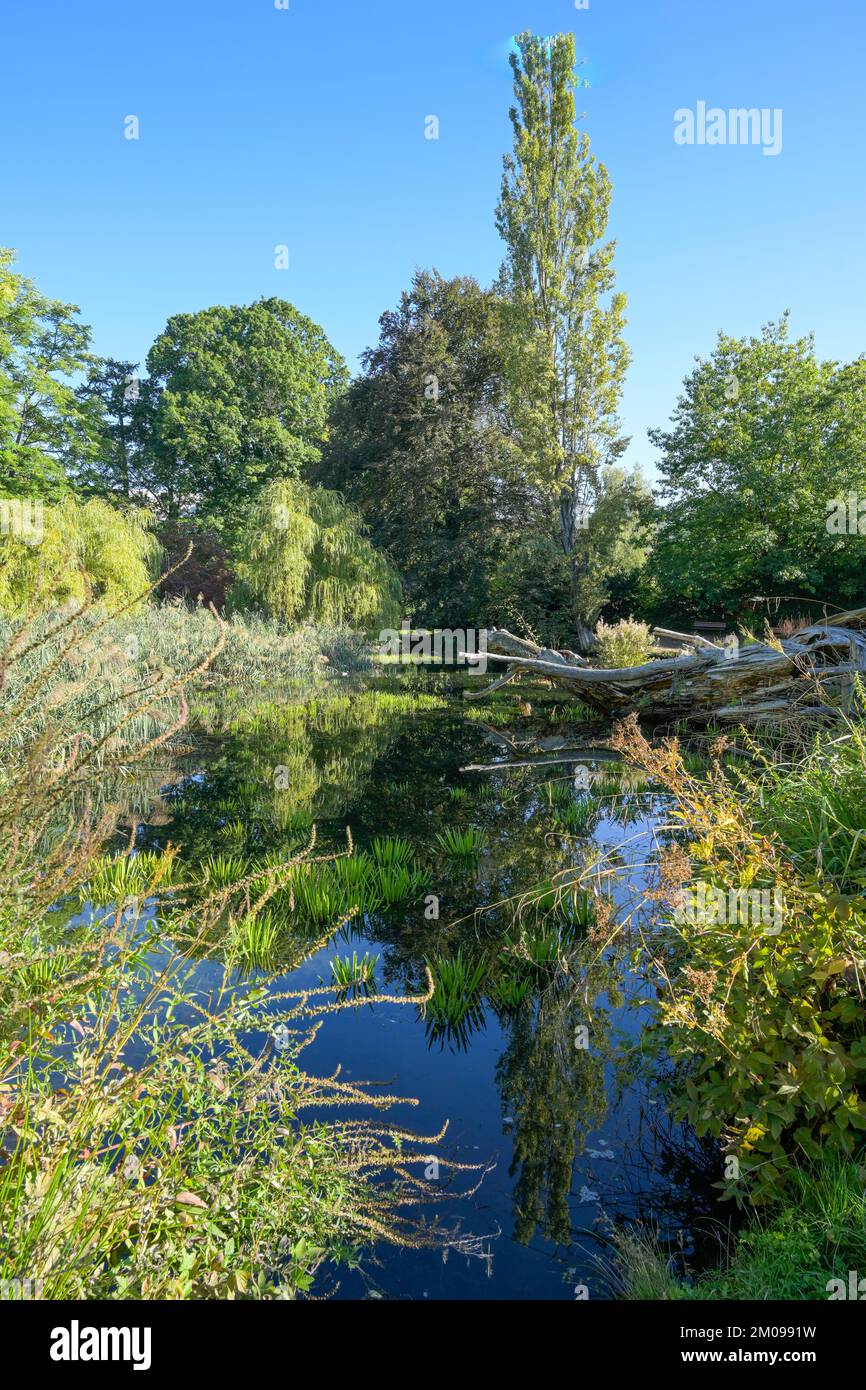 Weiher, Alter Botanischer Garten, Marburg, Hessen, Deutschland Stock