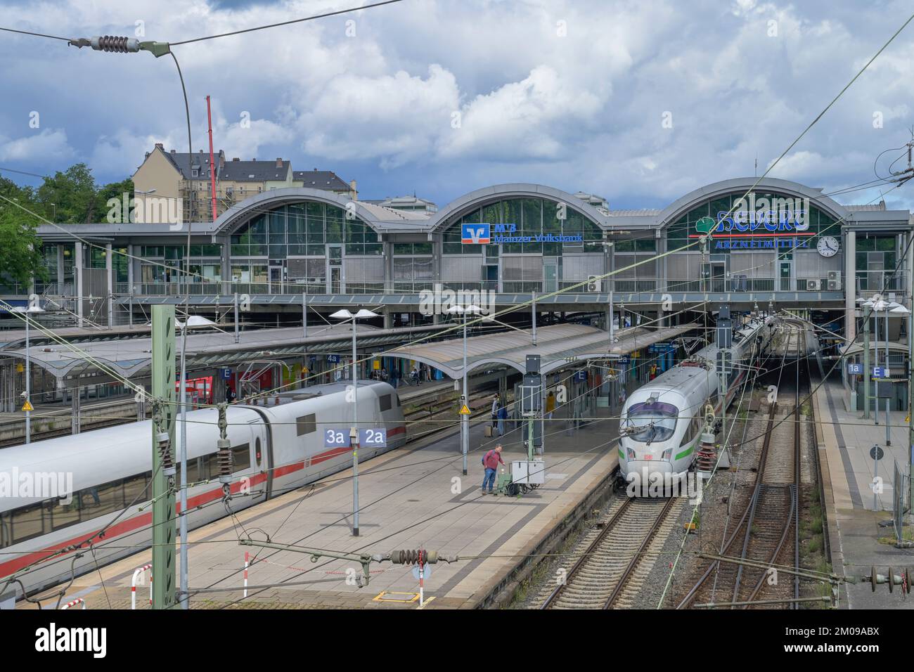 Züge, Gleise, Bahnsteige, Hauptbahnhof, Mainz, Rheinland-Pfalz, Deutschland Stock Photo