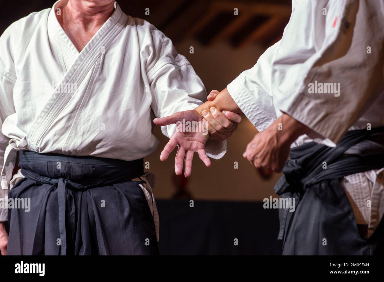 Wrist Grab Defenses. Black belt aikido master during a training session. Stock Photo