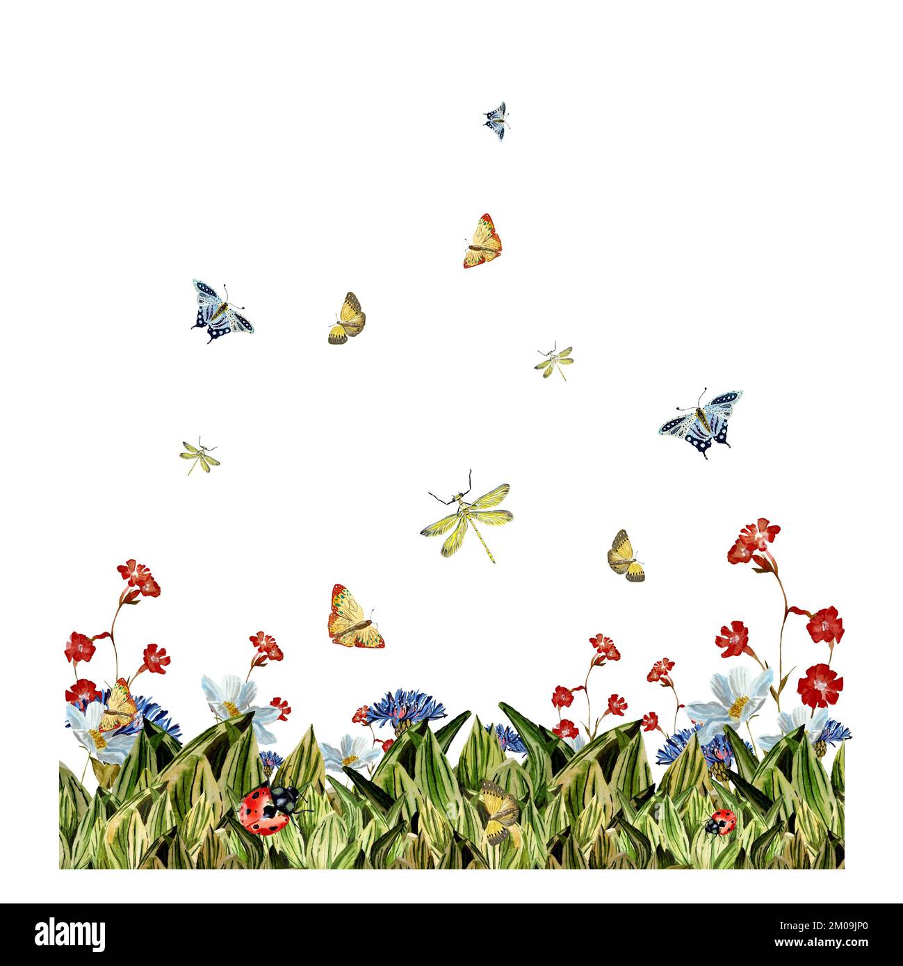 Grass dragonfly flower red butterfly a watercolor Stock Photo - Alamy