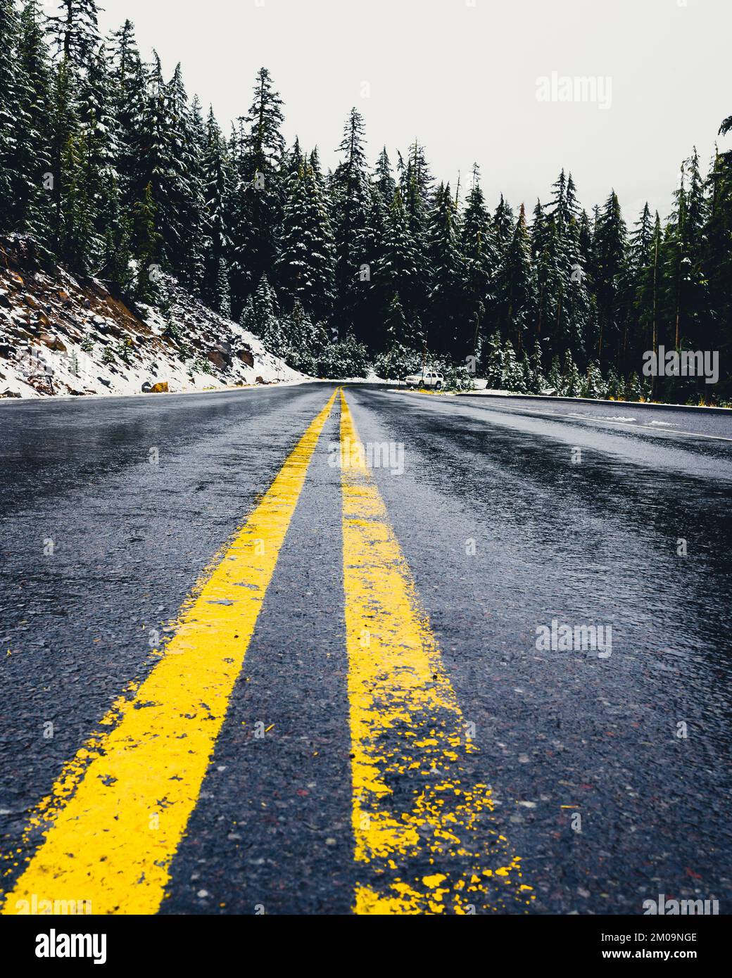 A vertical shot of a wet asphalt road with yellow double lines on a ...