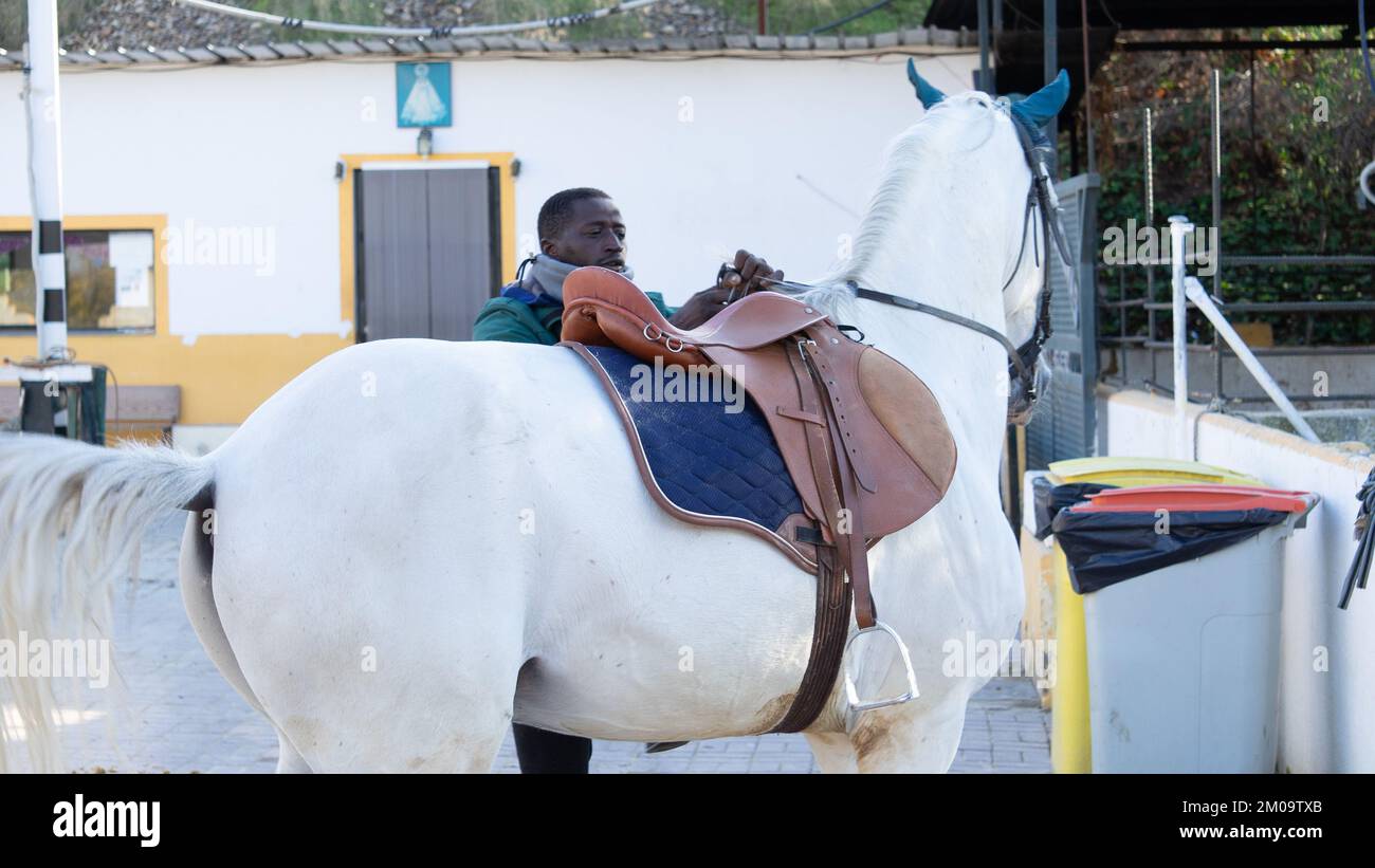 Male jockey riding horse hi-res stock photography and images - Alamy