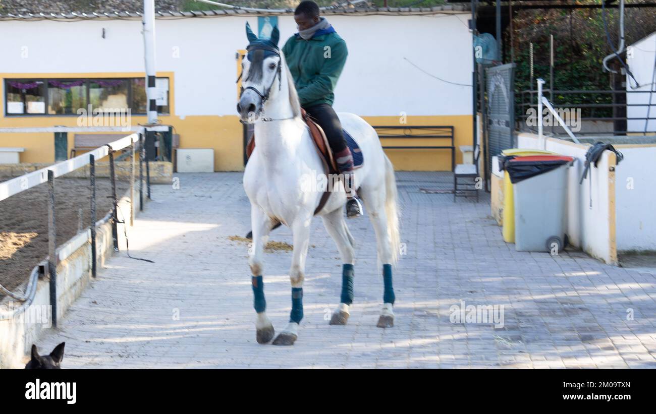 White male riding horse hi-res stock photography and images - Alamy