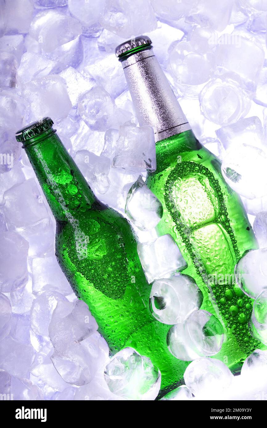 Cold beer on ice cubes Stock Photo Alamy