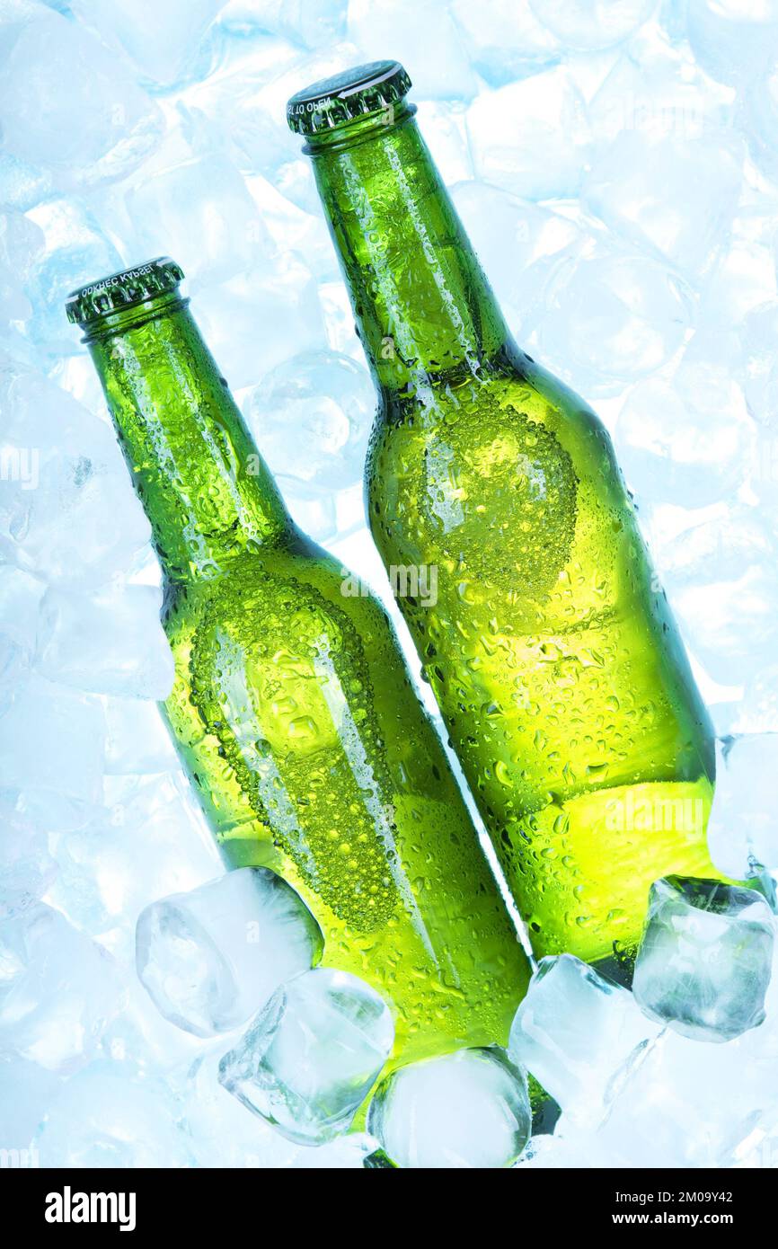Cold beer on ice cubes Stock Photo Alamy