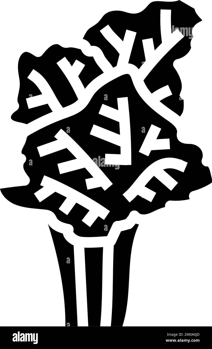 fishtail palm tree glyph icon vector illustration Stock Vector