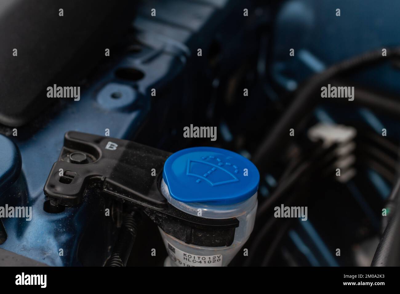 Windshield washer fluid reservoir cap. Windshield washer liquid cap