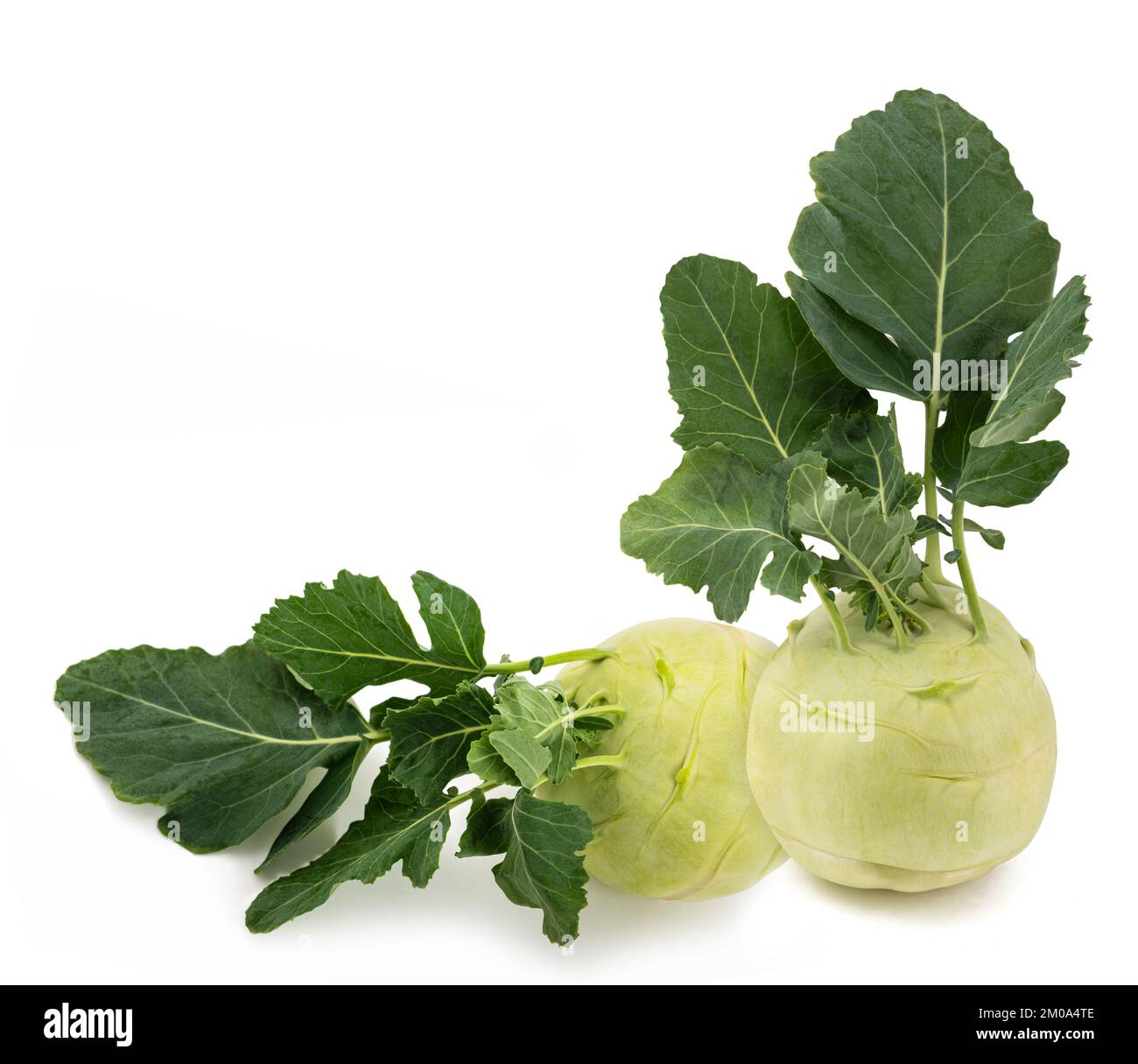Fresh Cabbage turnip isolated on white background Stock Photo