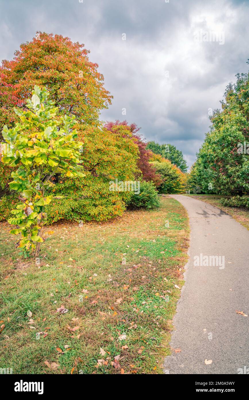 Hiking trail in Arboretum in Lexington, Kentucky in fall Stock Photo