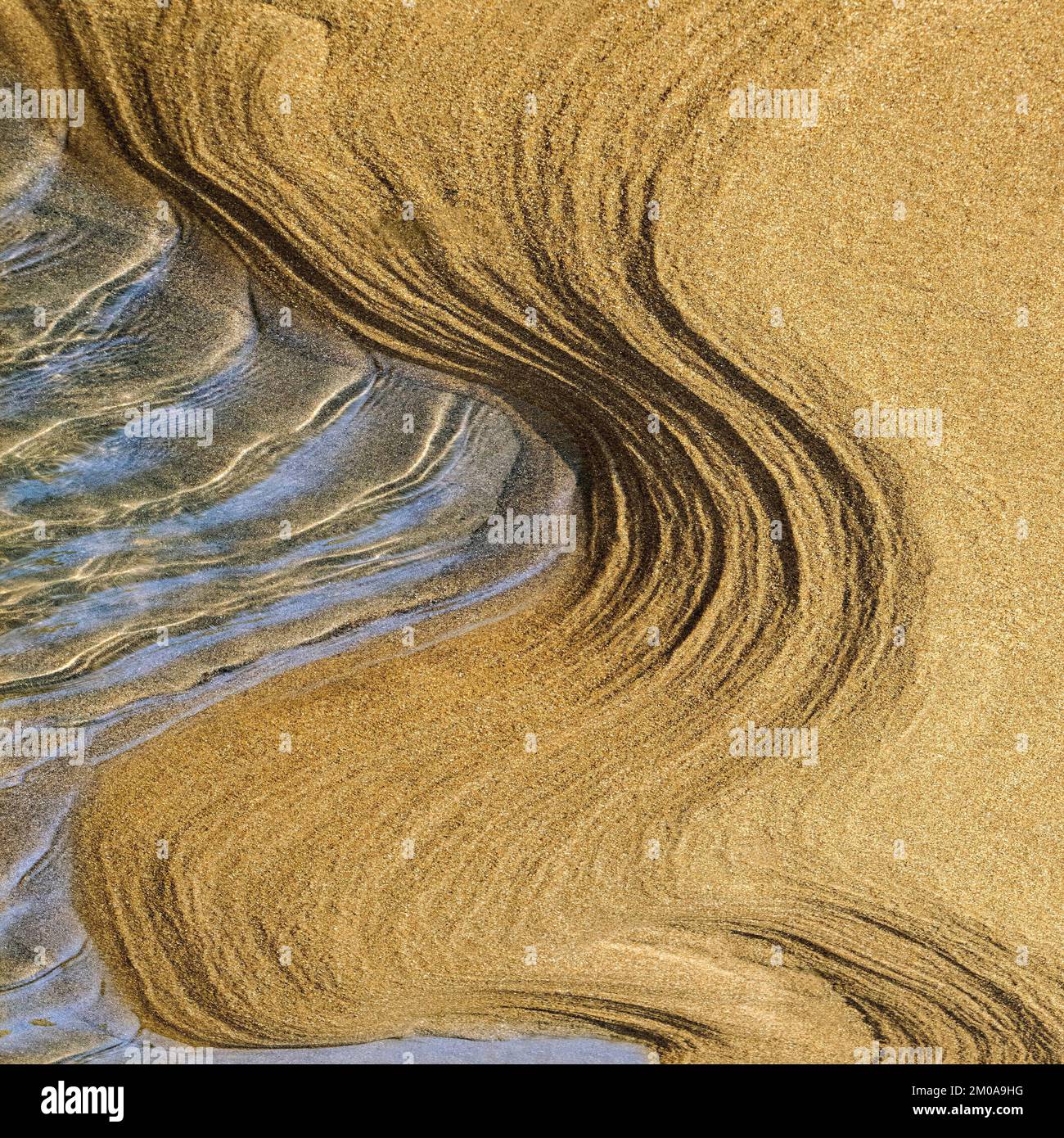 Abstract detailed tidal patterns in the sand at low tide on Penbryn beach in south west Wales UK Stock Photo
