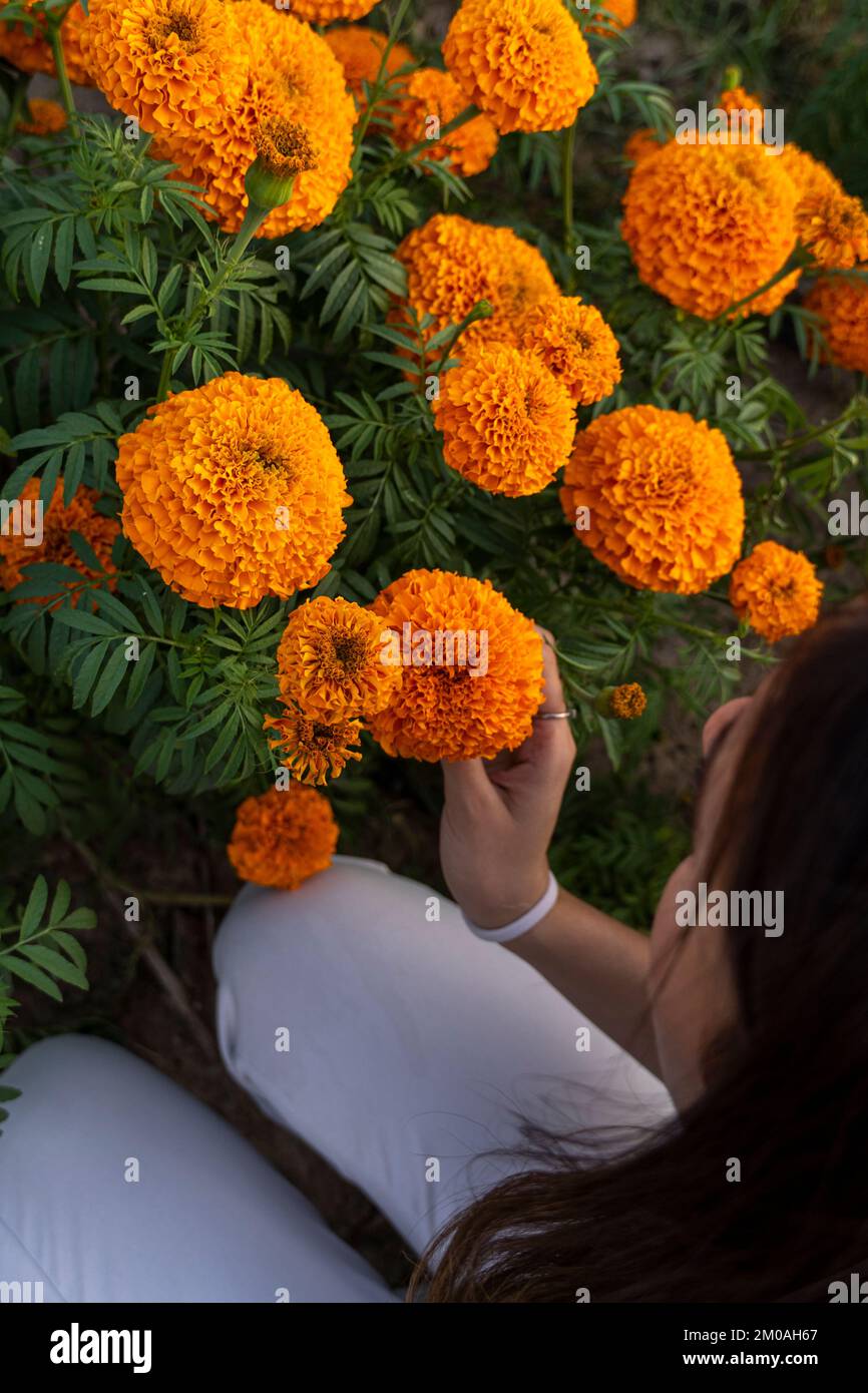 young woman whit Traditional cempasuchil flowers used for altars at day