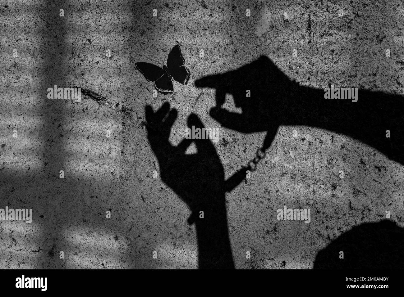 The shadow of a criminal in handcuffs against the background of a concrete prison wall. Handcuffed hands cling to freedom and try to catch a butterfly Stock Photo