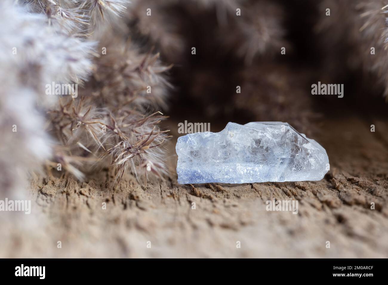 Quartz with Rare Blue Dumortierite Inclusions Mineral Crystal Stone on Wooden Background. Healing Crystals and Minerals Collection Stock Photo