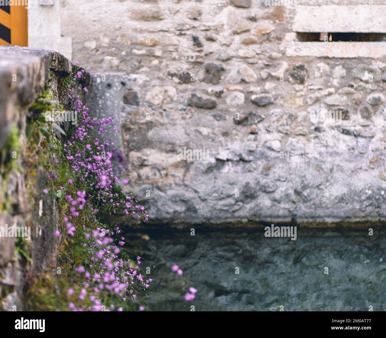Stone wall with flowers on a castle bridge Stock Photo - Alamy