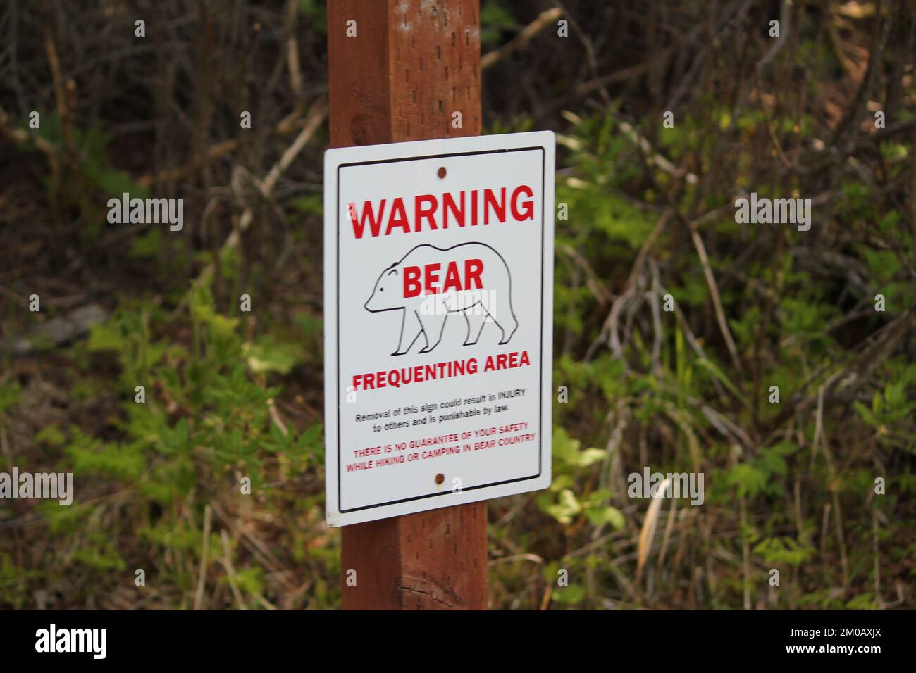 Warning bears are in the area! Stock Photo - Alamy