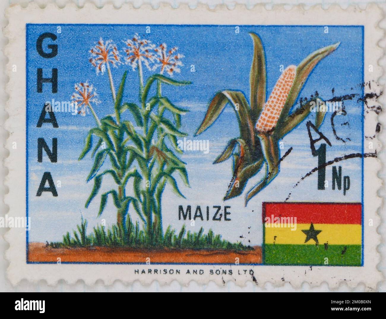 Photo of a postage stamp from Ghana Maize plants Zea mays Definitives