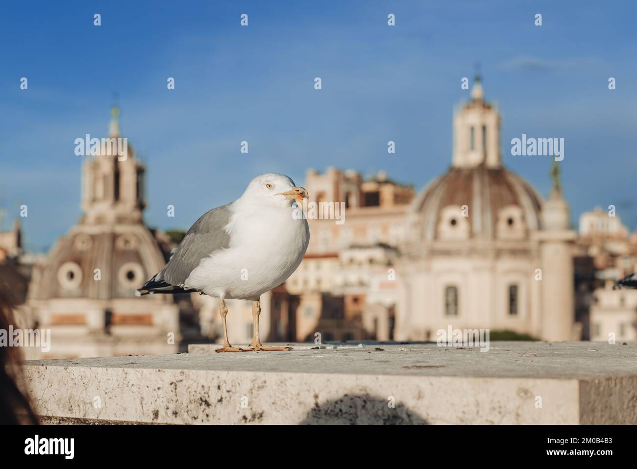 Birds on the top of Altare della Patria in Rome Stock Photo - Alamy