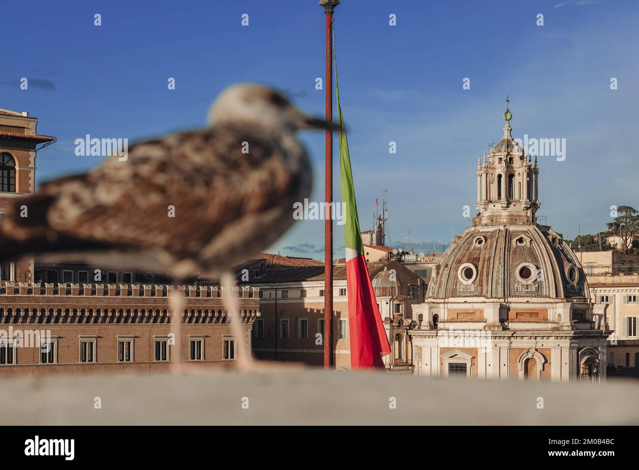 Birds on the top of Altare della Patria in Rome Stock Photo - Alamy
