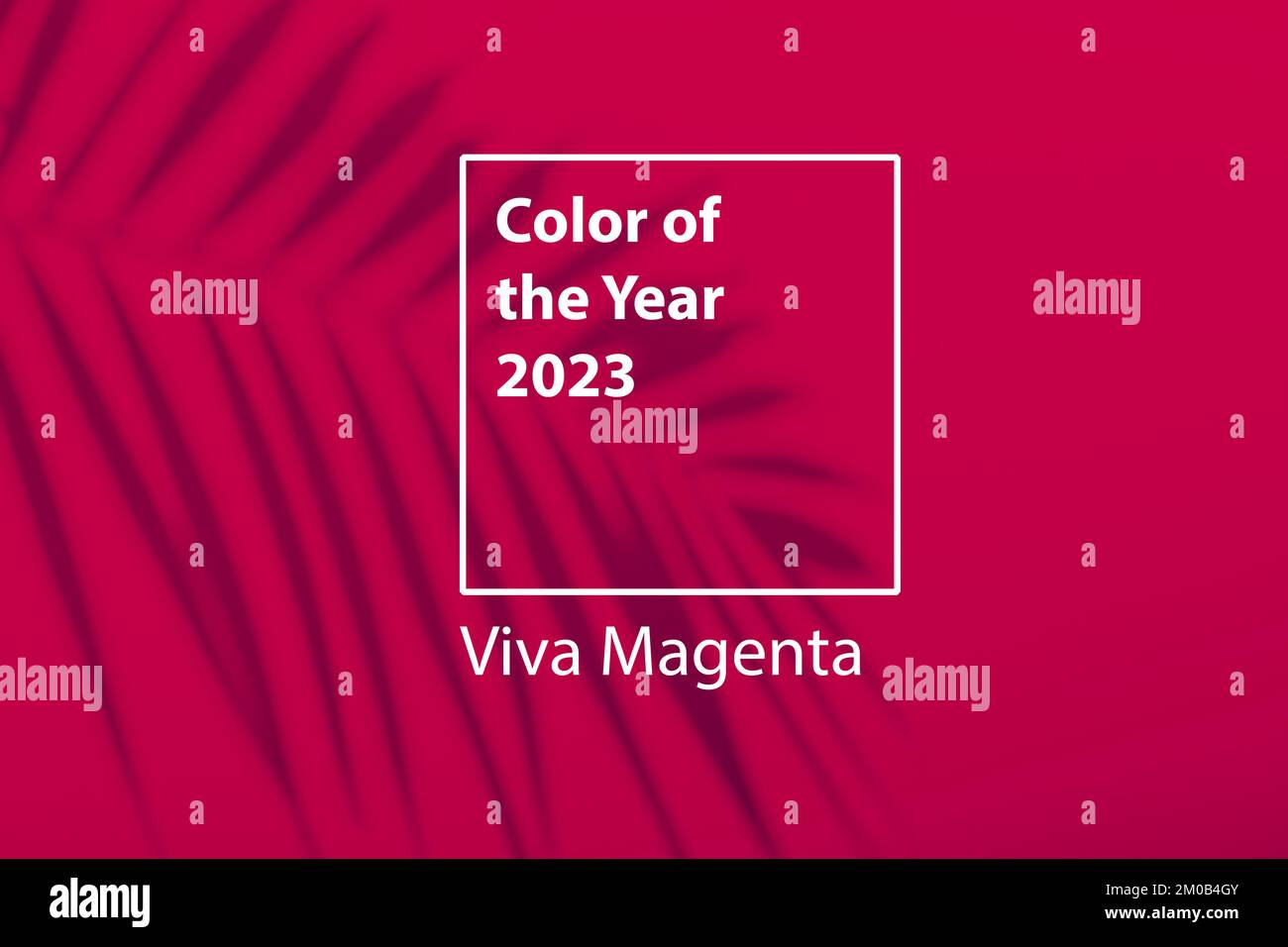 Color of the year 2023 background. Magenta new trend color on red purple background with shadow palm. High quality photo Stock Photo