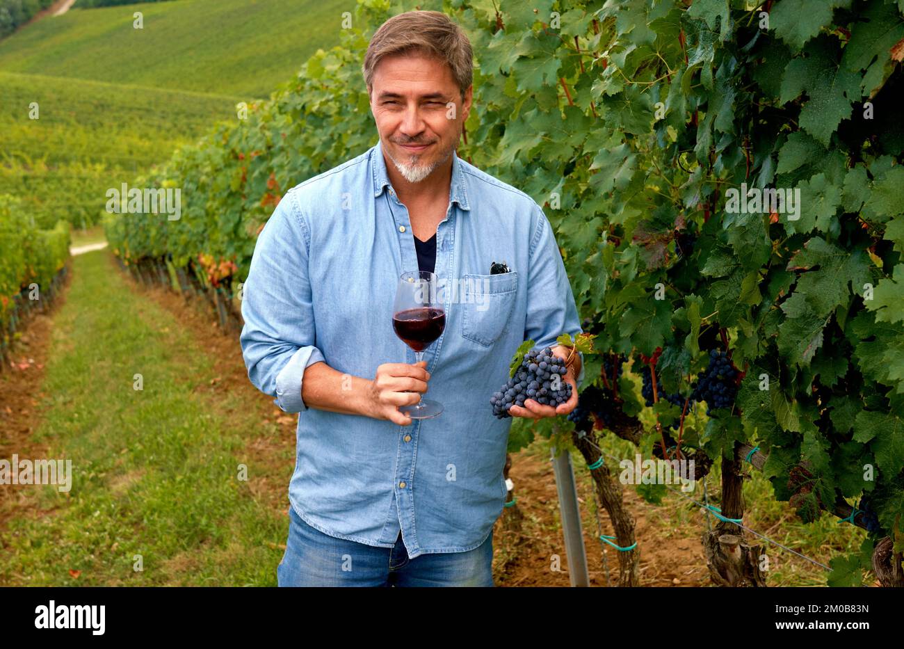 Portrait of happy man in vineyard with glass of red wine. Vintner, agricultural entrepreneur, owner, winemaker. Stock Photo