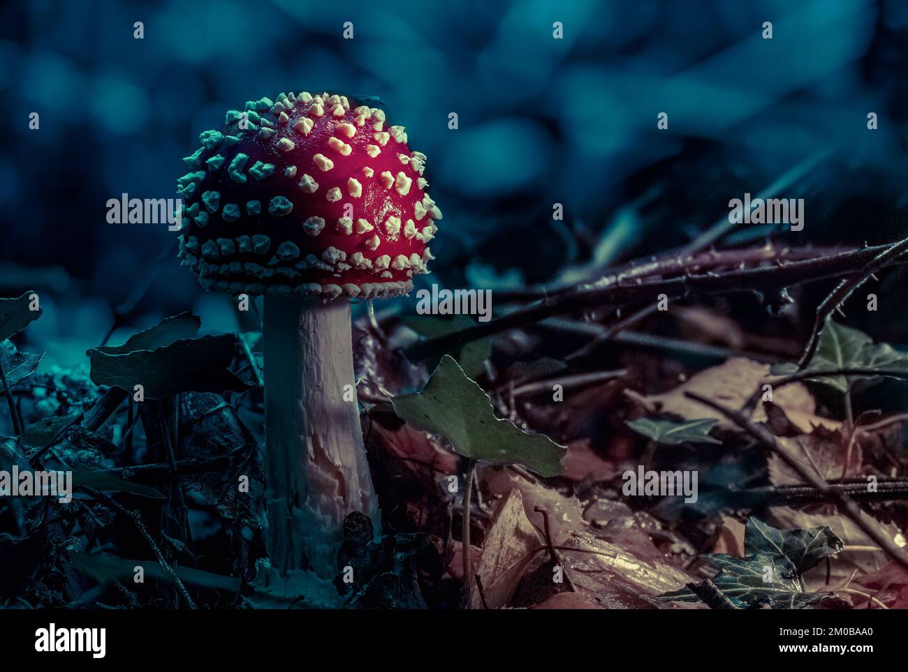 Fairytale mushroom Stock Photo