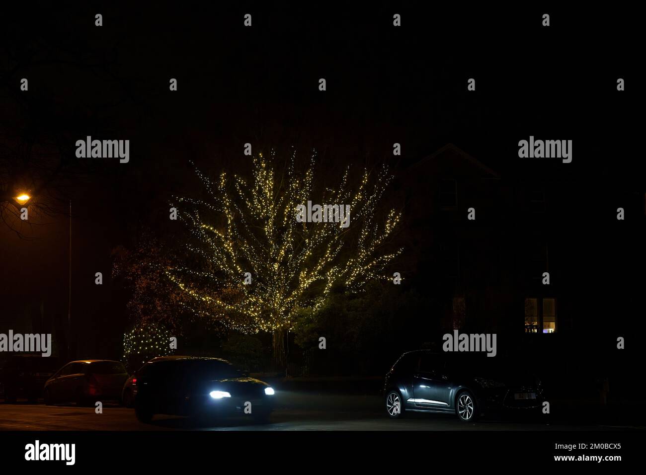 A car travelling down the street with its headlights on full beam with a tree decorated with sparkling yellow Christmas lights in a Garden. Stock Photo