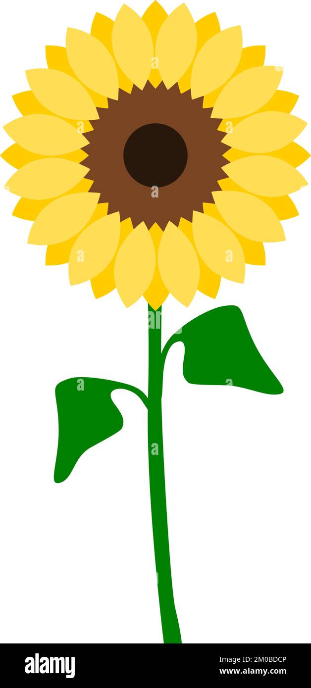 Simple plant vector vectors hi-res stock photography and images - Alamy