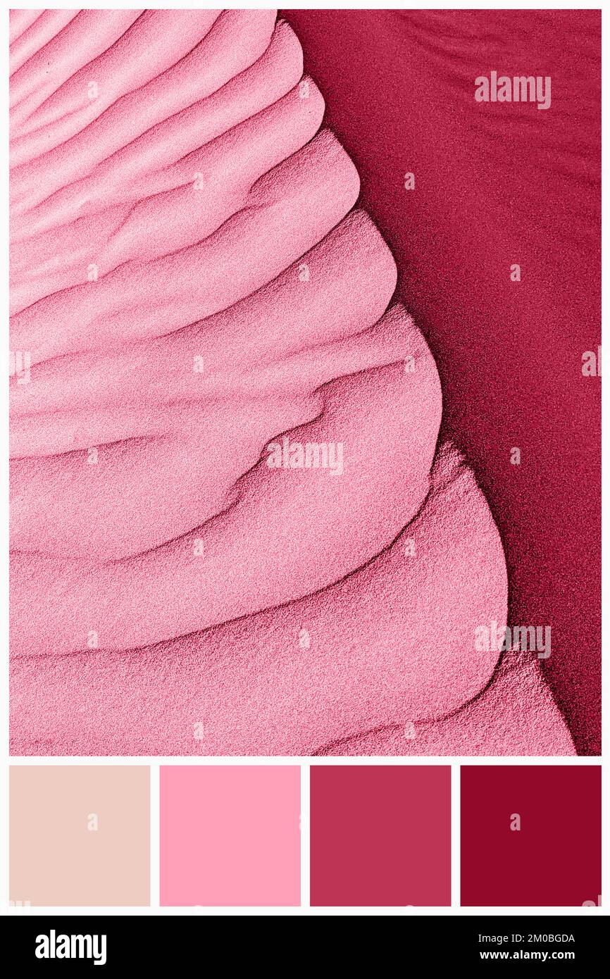 Color palette of desert dune texture colored by Viva Magenta tone 2023. Trendy pink and magenta swatches of similar colors. Stock Photo