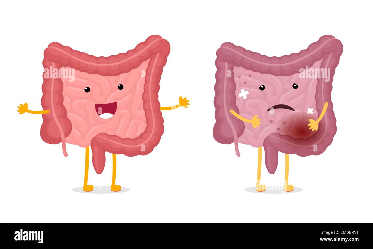 Intestines characters healthy and unhealthy comparison. Human intestine mascot good and bad condition. Cartoon gut smiling and illness sad. Bowel strong and damaged. Digestive internal organ. Vector Stock Vector