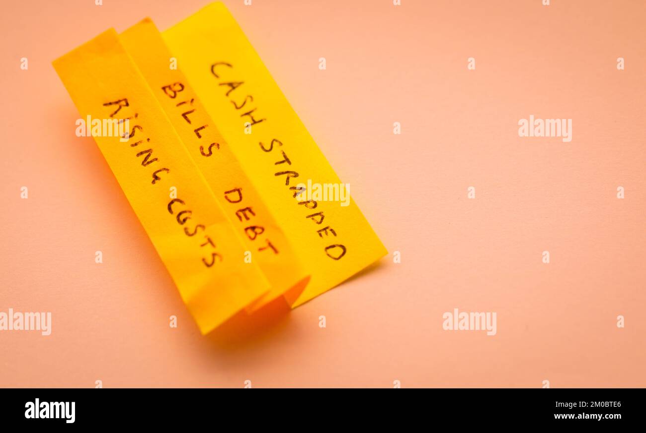 Conceptual Money, Debt and Budgeting - Close-up of sticky notes illustrating themes related to money, finance. Pink background. Stock Photo