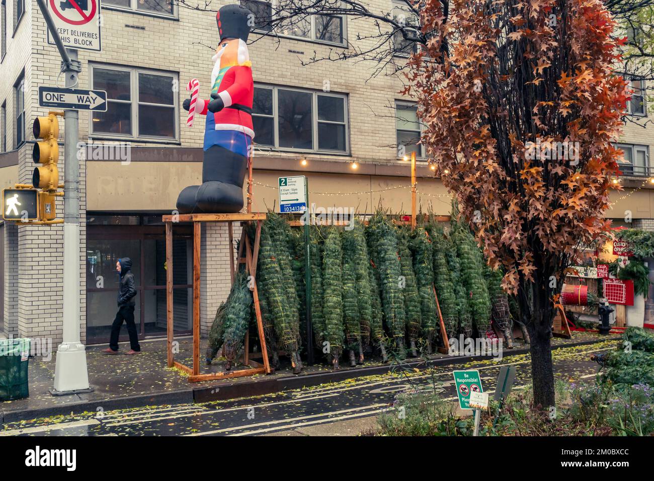Christmas tree seller’s forest in the Chelsea neighborhood of New York