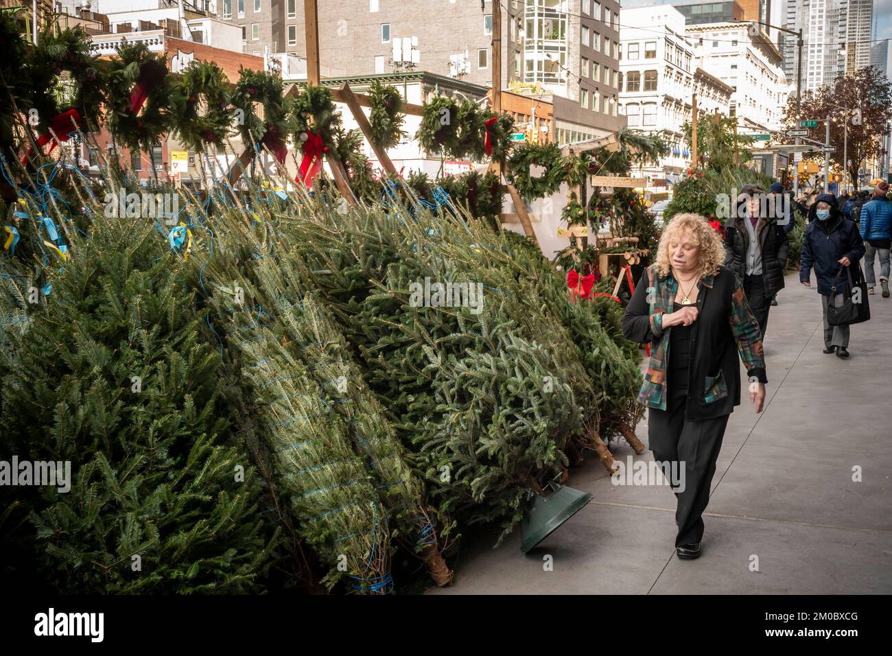 Christmas tree seller’s forest in the Chelsea neighborhood of New York