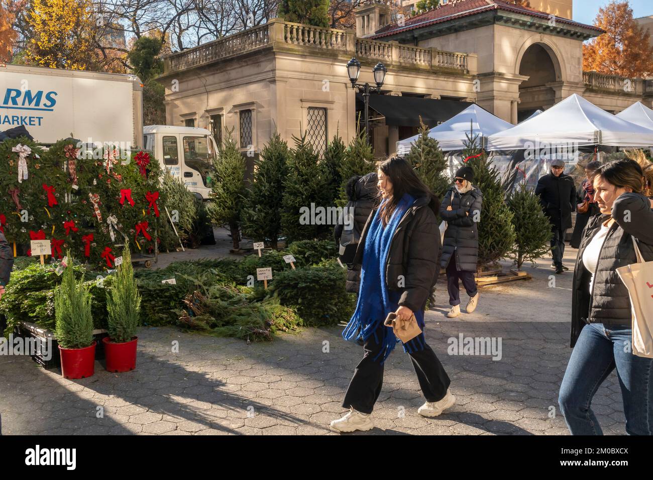 Christmas trees, wreaths and other accoutrements for sale in the Union Square Greenmarket in New