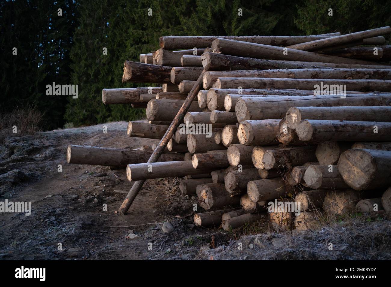 Lifting Tongs | Tongs For Sale - Irish Forestry Products