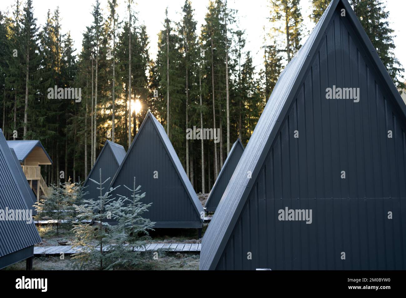 Wooden bungalow houses among greenery in forest. Triangular roof of the ...