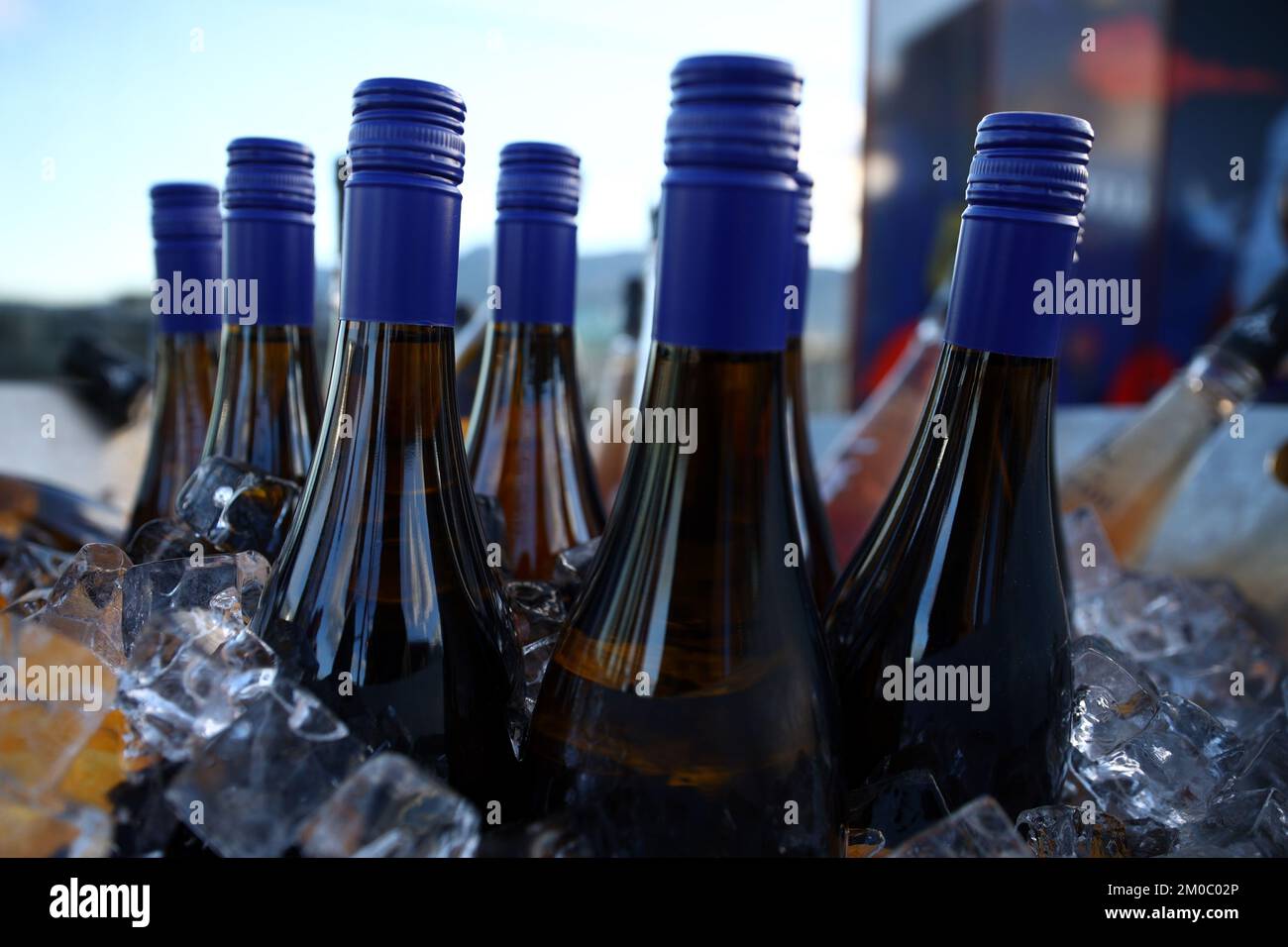 Blue wine bottles in ice at a party Stock Photo Alamy