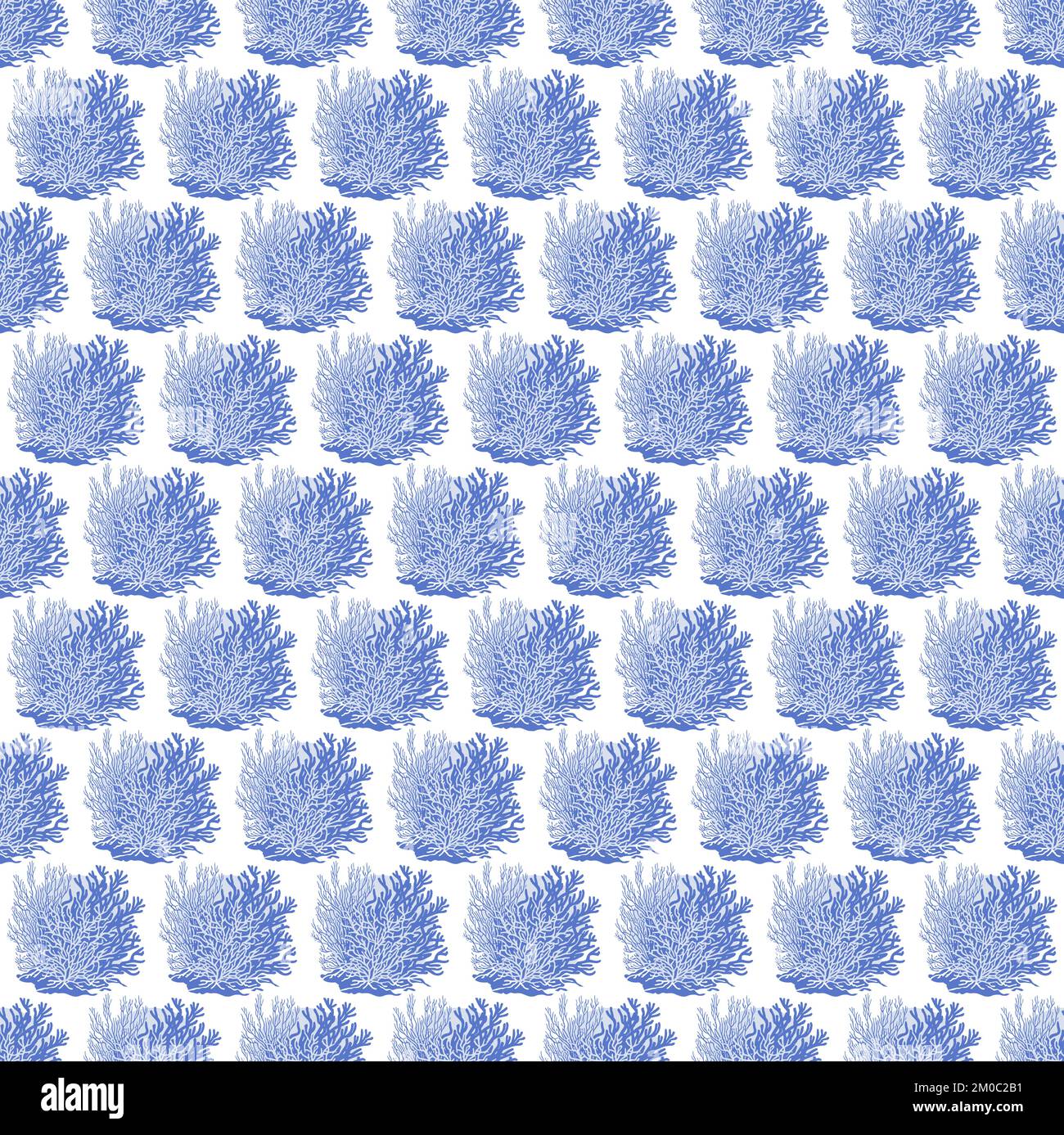 Seaweed illustration pattern hi-res stock photography and images - Alamy