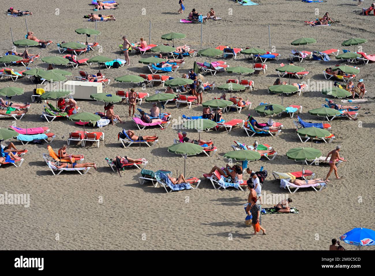 Playa El Veril beach with sunbathers on sand others in the sea, San Agustín,  Las Palmas, Gran Canaria Stock Photo - Alamy