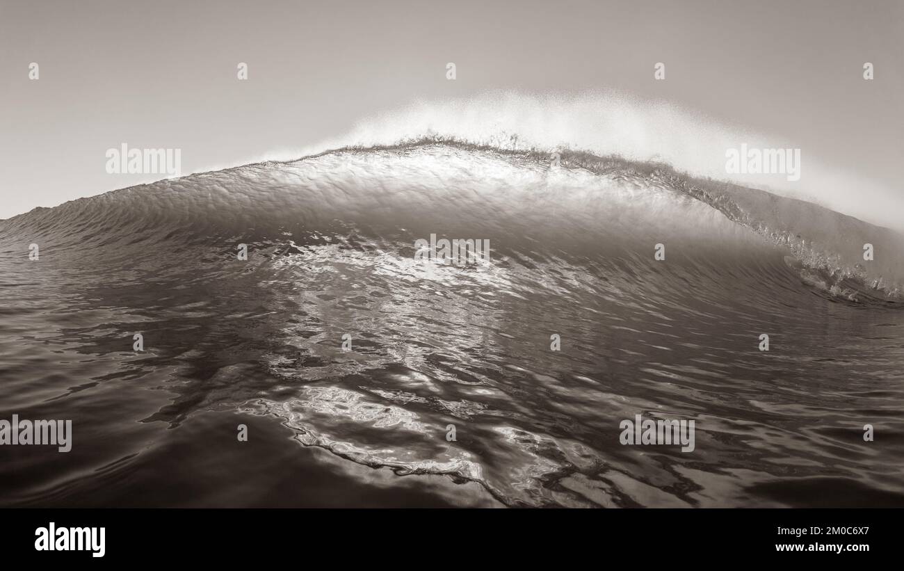Wave ocean sea swimming front closeup encounter of crashing pitching backlit water power in sepia photograph. Stock Photo