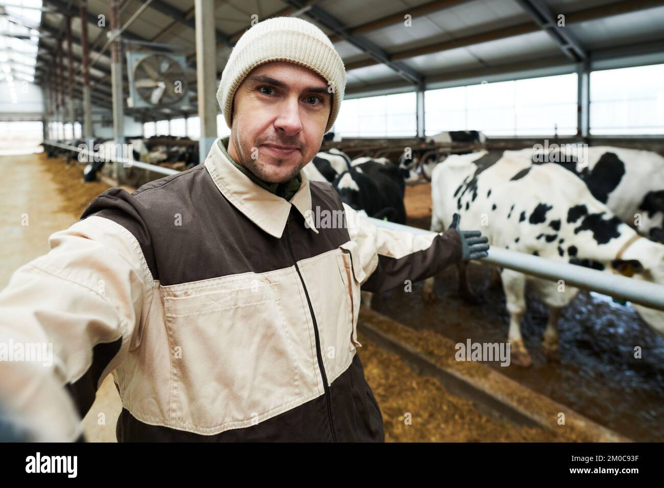 Young male worker or owner of modern cowfarm making online presentation