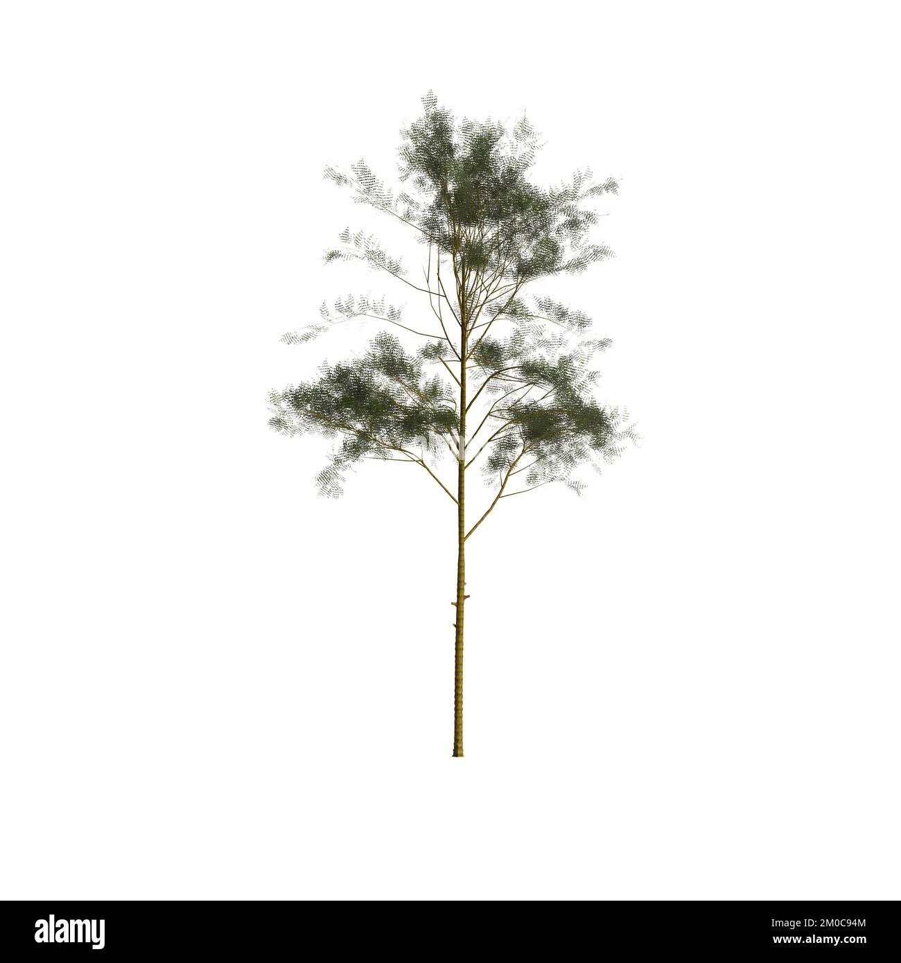 3d illustration of trees isolated on white background Stock Photo - Alamy