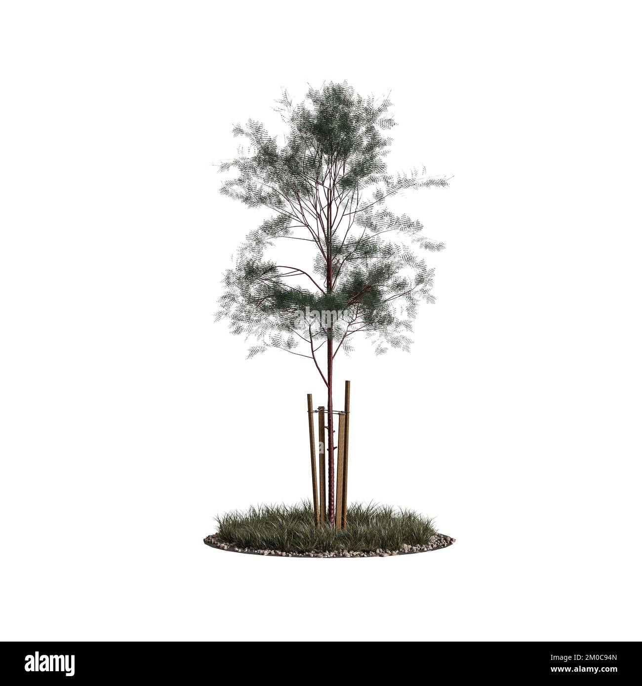 3d illustration of trees isolated on white background Stock Photo - Alamy