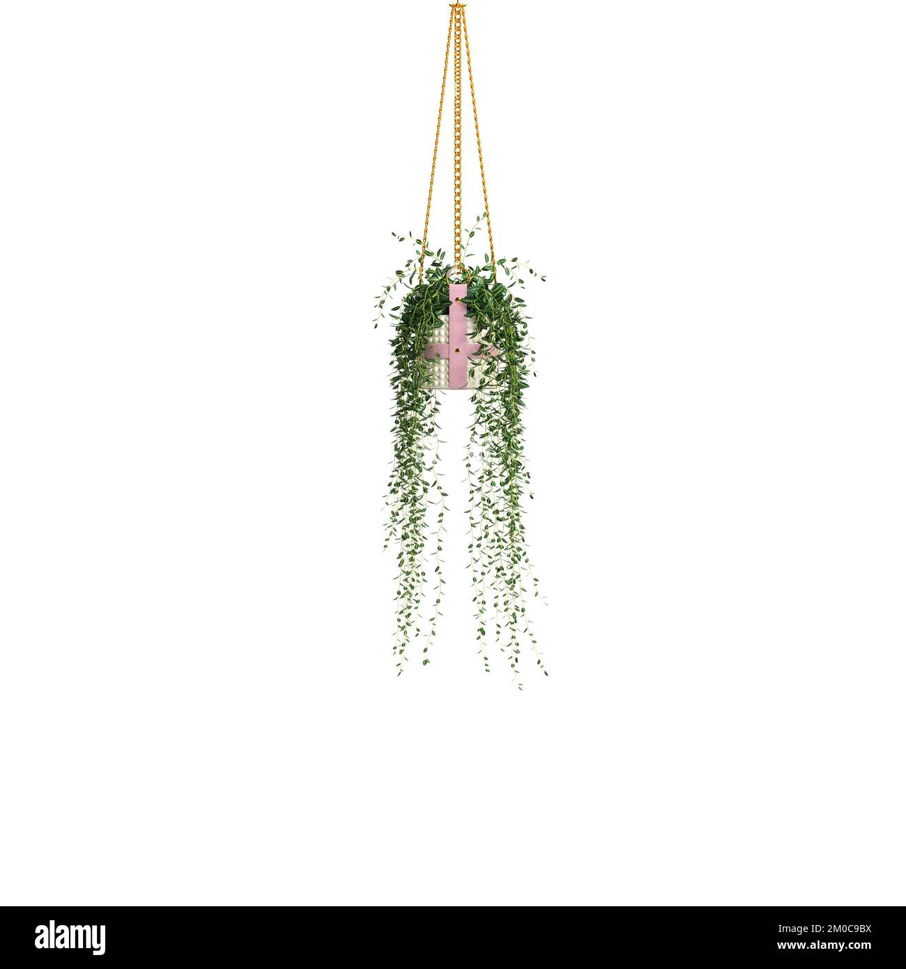 3d illustration of hanging ivy isolated on white background Stock Photo ...