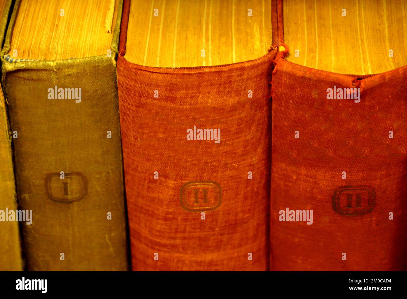Antique old and worn books in cloth binding on the bookshelf Stock