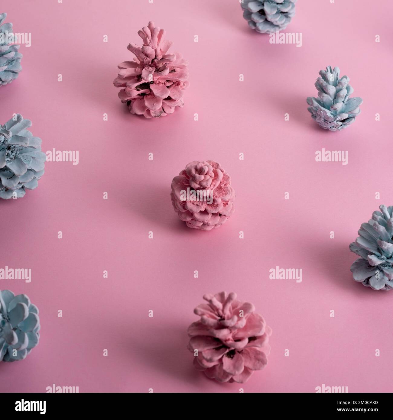 minimal composition christmas pattern christmas cones painted pink blue color. Stock Photo